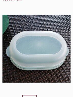 EUC Tupperware covered tray